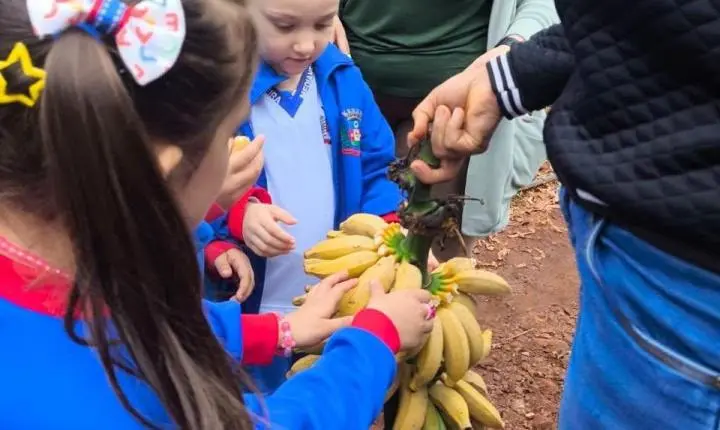 PÉ NA TERRA: ALUNOS DE MEDIANEIRA CONHECEM DE PERTO A ORIGEM DOS ALIMENTOS DA MERENDA ESCOLAR