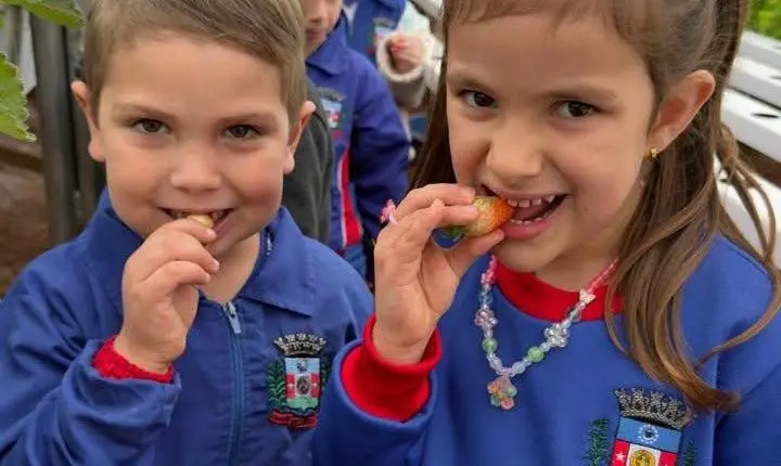 PÉ NA TERRA: ALUNOS DE MEDIANEIRA CONHECEM DE PERTO A ORIGEM DOS ALIMENTOS DA MERENDA ESCOLAR