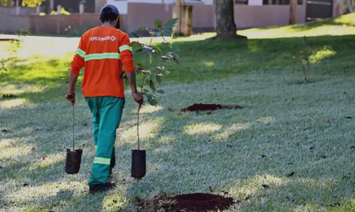 PLANTIO DE MUDAS MARCA COMEMORAÇÃO AO DIA MUNDIAL DO MEIO AMBIENTE EM ITAIPULÂNDIA