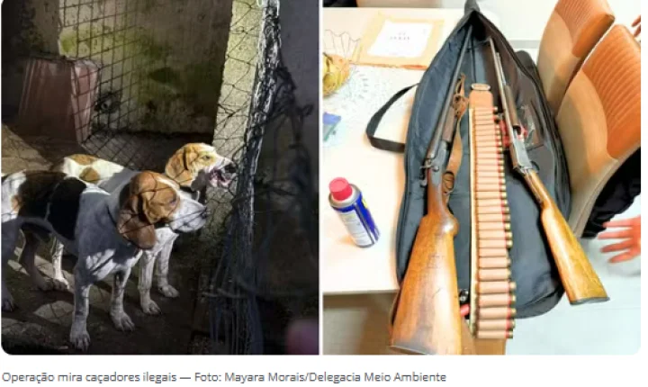 POLÍCIA DESARTICULA GRUPO DE CAÇADORES ILEGAIS E TRAFICANTES DE ARMAS; ITAIPULÂNDIA ESTÁ ENTRE AS CIDADES ALVO