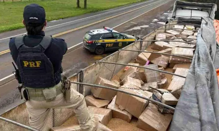 PRF APREENDE MAIS DE 3,5 TONELADAS DE MACONHA ESCONDIDAS EM CARGA DE TRIGO NA BR-277