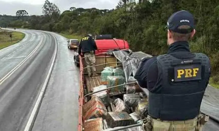 PRF APREENDE QUASE 2,5 TONELADAS DE MACONHA EM CAMINHÃO NA BR-277