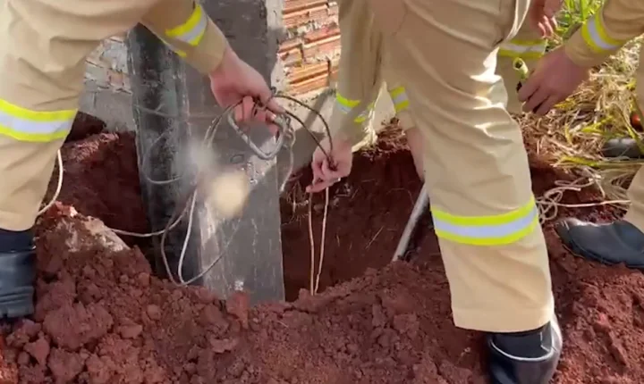 “PURA TERRA”: CACHORRINHA CAI EM BURACO E É RESGATADA PELOS BOMBEIROS
