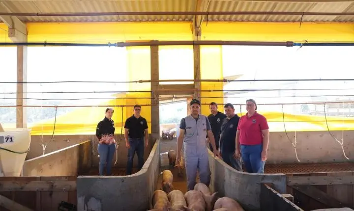 SECRETARIA DE AGRICULTURA DE ITAIPULÂNDIA ACOMPANHA PRIMEIRO ALOJAMENTO DE SUÍNOS PELO PROGRAMA AGROFORTE