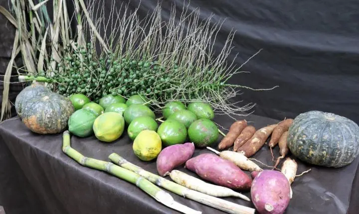 SEMANA CULTURAL INDÍGENA SEGUE ATÉ 17 DE ABRIL NA COMUNIDADE TEKOHA OCOY