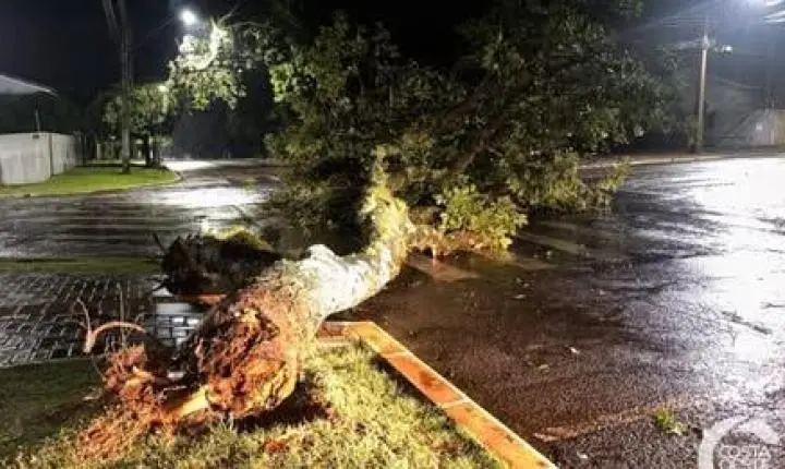  TEMPESTADE PROVOCA ALAGAMENTOS, DESTELHAMENTOS E QUEDA DE ÁRVORES EM SÃO MIGUEL DO IGUAÇU